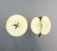 Dronning Louise æble